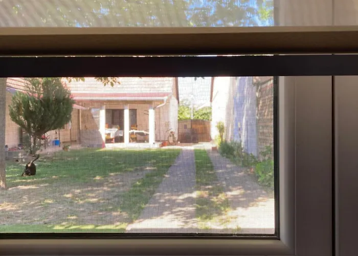 Full House Apartment